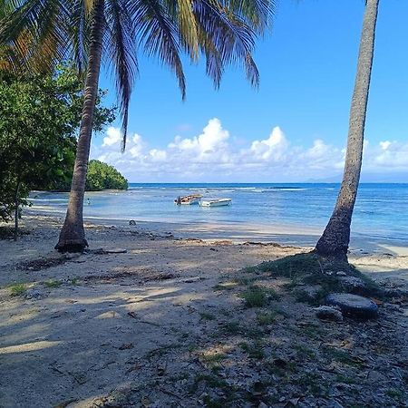 T1 Bis A Proximite De La Plage Le Gosier  Eksteriør billede