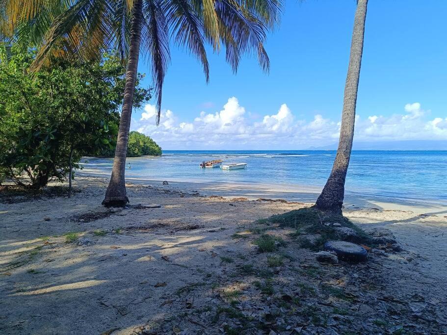 T1 Bis A Proximite De La Plage Le Gosier  Eksteriør billede