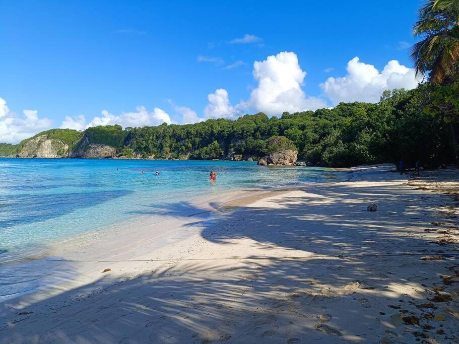 T1 Bis A Proximite De La Plage Le Gosier  Eksteriør billede